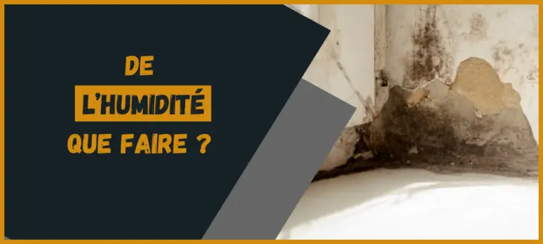 Lire la suite à propos de l’article Expertise humidité