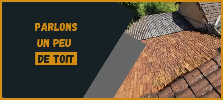 Lire la suite à propos de l’article Expertise toiture