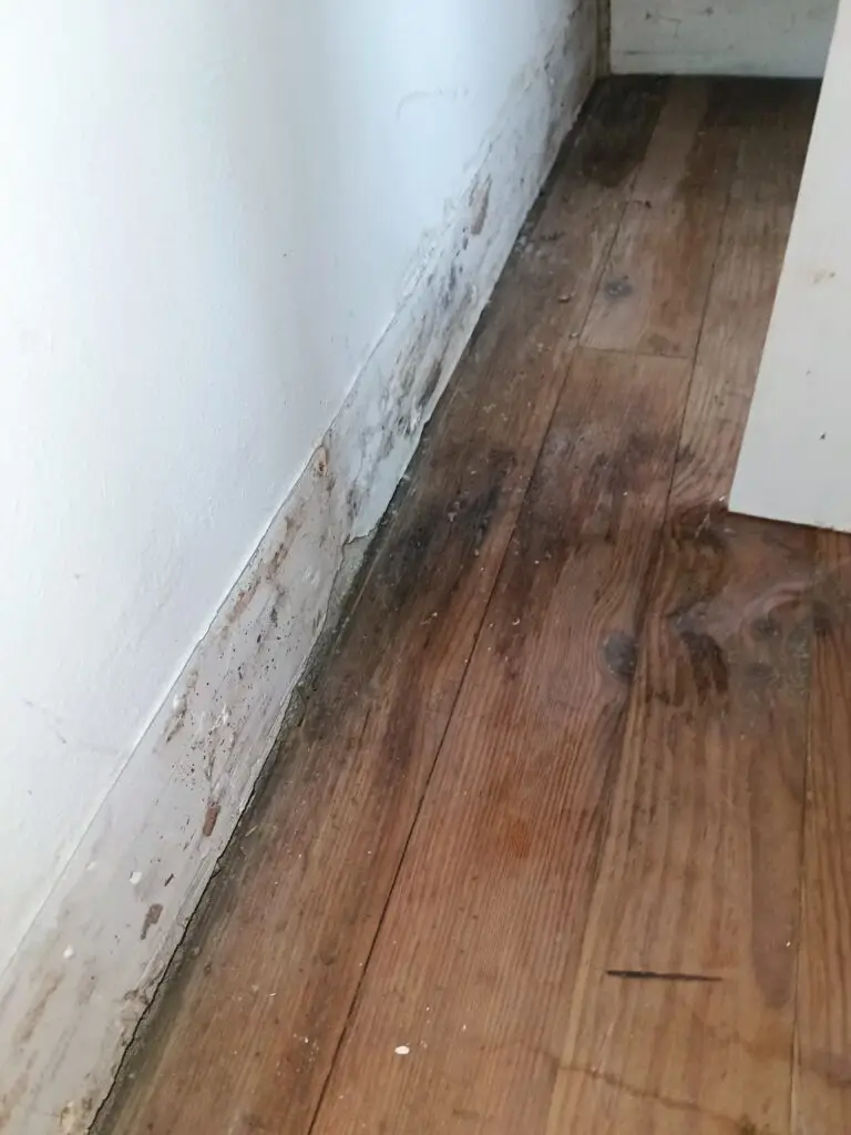 Humidité parquet